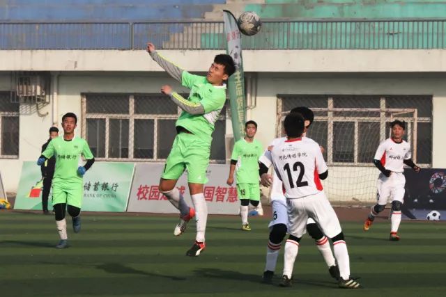 近5个赛季季后赛抢断TOP5：塔图姆力压巴特勒 杰伦·布朗第三